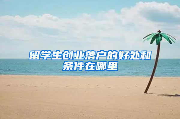 留学生创业落户的好处和条件在哪里