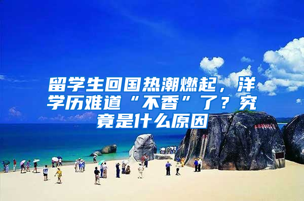 留学生回国热潮燃起，洋学历难道“不香”了？究竟是什么原因
