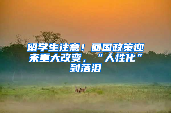 留学生注意！回国政策迎来重大改变，“人性化”到落泪