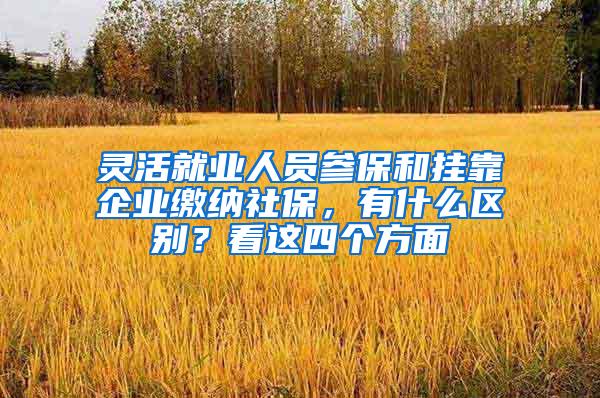 灵活就业人员参保和挂靠企业缴纳社保，有什么区别？看这四个方面