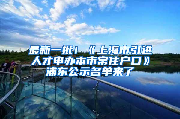 最新一批！《上海市引进人才申办本市常住户口》浦东公示名单来了