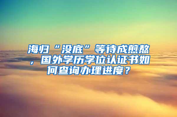海归“没底”等待成煎熬，国外学历学位认证书如何查询办理进度？