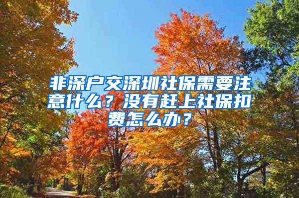 非深户交深圳社保需要注意什么？没有赶上社保扣费怎么办？