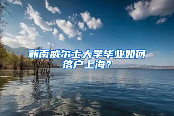 新南威尔士大学毕业如何落户上海？