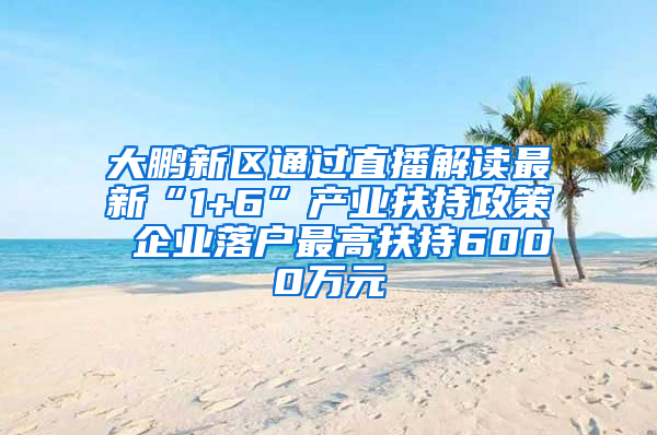 大鹏新区通过直播解读最新“1+6”产业扶持政策 企业落户最高扶持6000万元