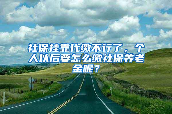 社保挂靠代缴不行了，个人以后要怎么缴社保养老金呢？
