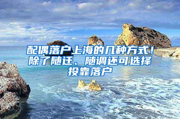 配偶落户上海的几种方式！除了随迁、随调还可选择投靠落户