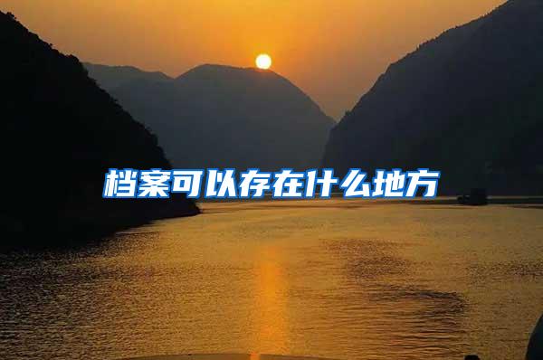 档案可以存在什么地方