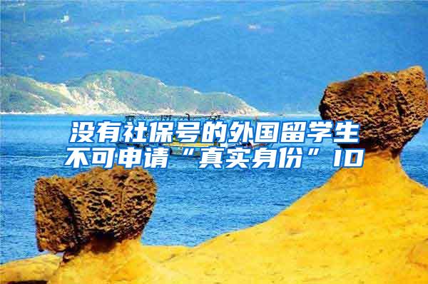 没有社保号的外国留学生不可申请“真实身份”ID