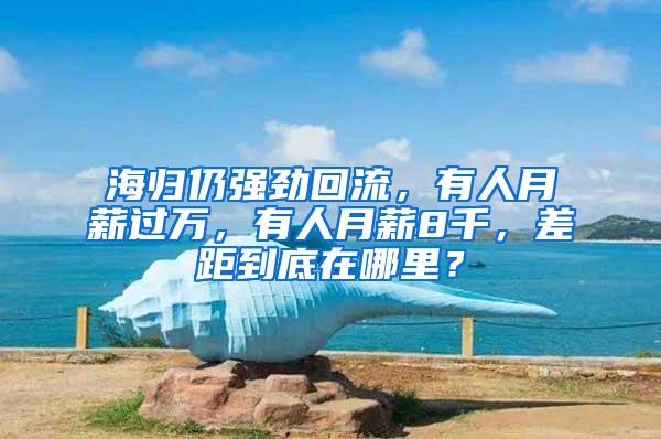 海归仍强劲回流，有人月薪过万，有人月薪8千，差距到底在哪里？