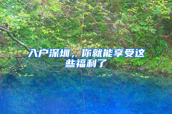 入户深圳，你就能享受这些福利了