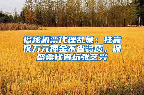 揭秘机票代理乱象：挂靠仅万元押金不查资质，保盛票代曾坑张艺兴