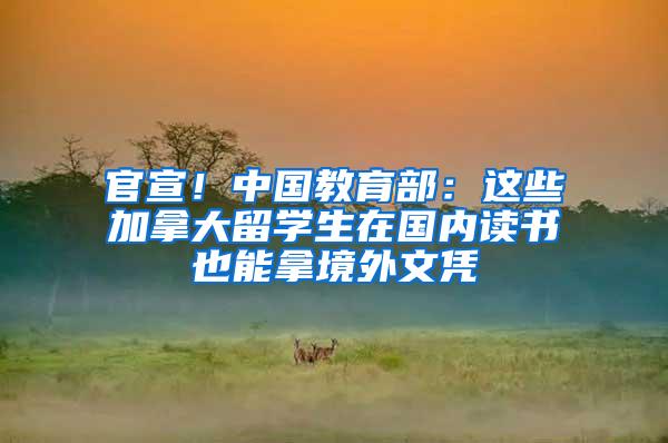 官宣！中国教育部：这些加拿大留学生在国内读书也能拿境外文凭