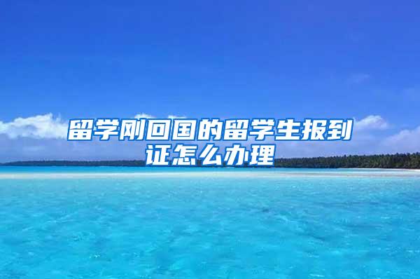 留学刚回国的留学生报到证怎么办理