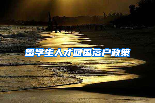 留学生人才回国落户政策