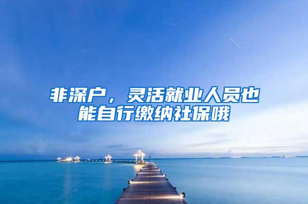 非深户，灵活就业人员也能自行缴纳社保哦