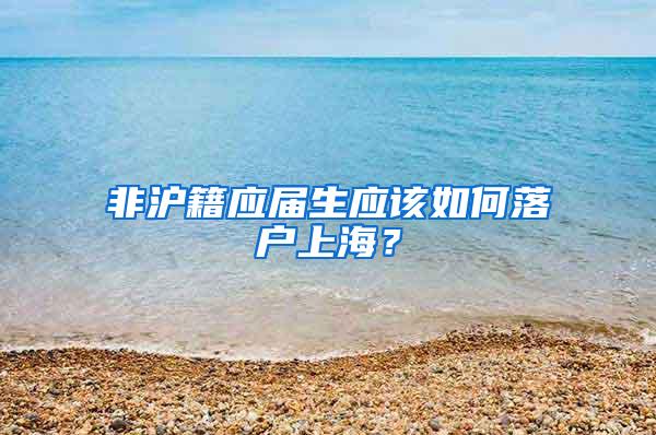 非沪籍应届生应该如何落户上海？