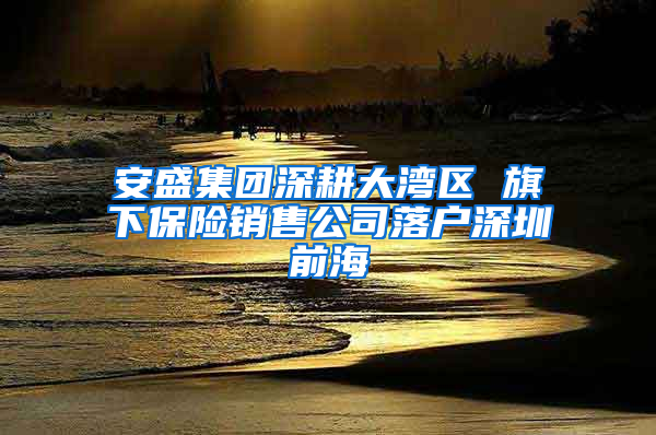 安盛集团深耕大湾区 旗下保险销售公司落户深圳前海