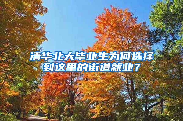 清华北大毕业生为何选择到这里的街道就业？