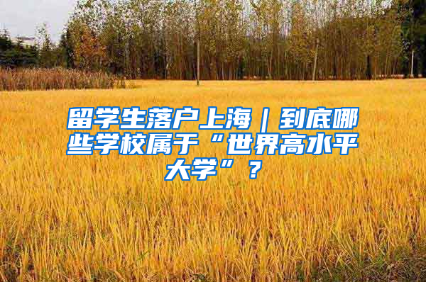留学生落户上海｜到底哪些学校属于“世界高水平大学”？