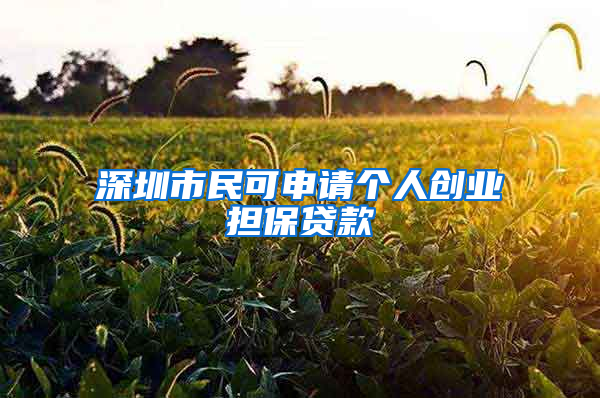 深圳市民可申请个人创业担保贷款