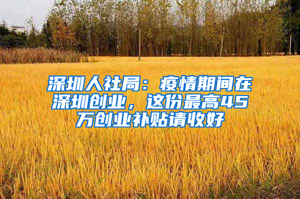深圳人社局：疫情期间在深圳创业，这份最高45万创业补贴请收好
