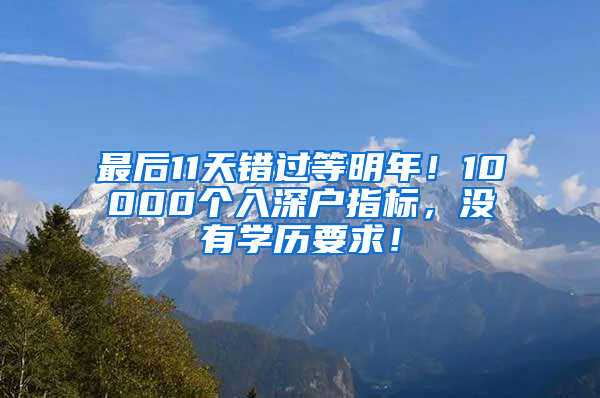 最后11天错过等明年！10000个入深户指标，没有学历要求！