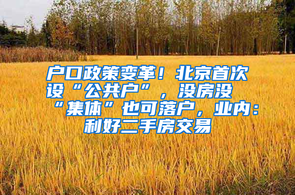 户口政策变革！北京首次设“公共户”，没房没“集体”也可落户，业内：利好二手房交易