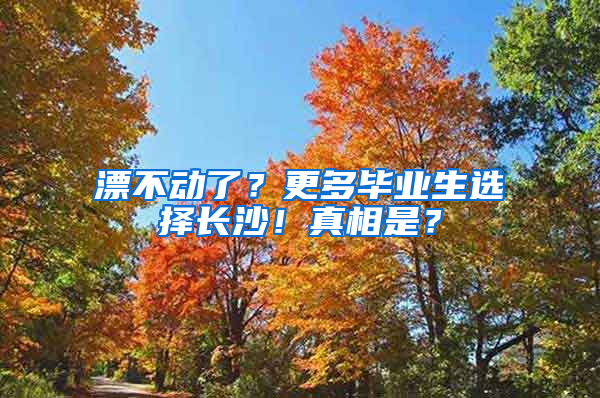 漂不动了？更多毕业生选择长沙！真相是？