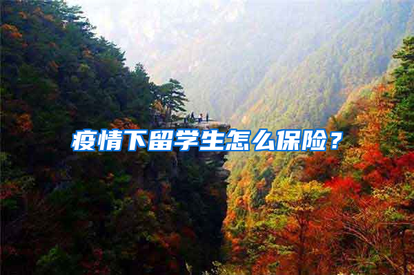 疫情下留学生怎么保险？