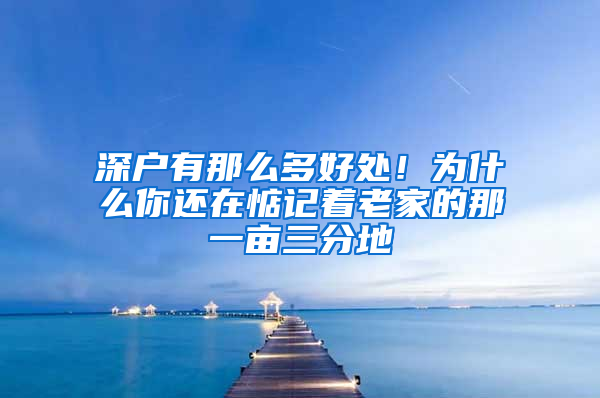 深户有那么多好处！为什么你还在惦记着老家的那一亩三分地