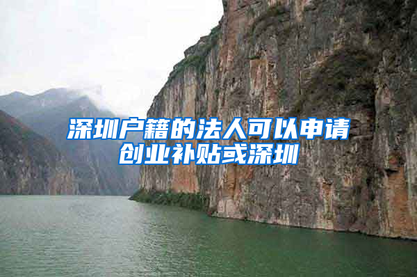 深圳户籍的法人可以申请创业补贴或深圳