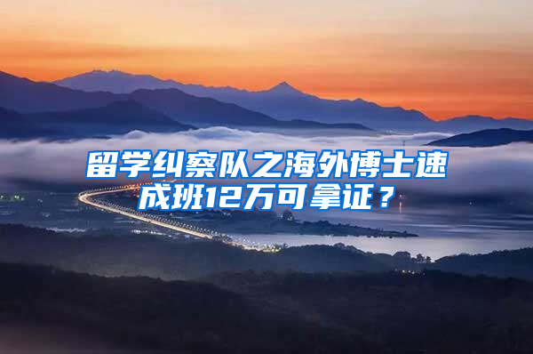 留学纠察队之海外博士速成班12万可拿证？