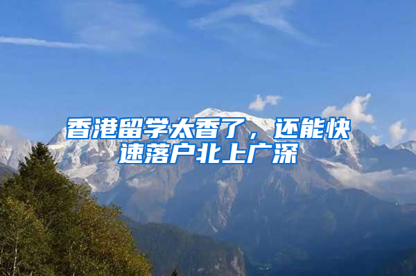 香港留学太香了，还能快速落户北上广深