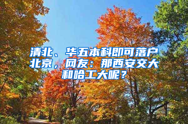 清北、华五本科即可落户北京，网友：那西安交大和哈工大呢？