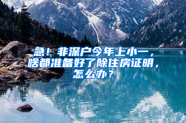 急！非深户今年上小一，啥都准备好了除住房证明，怎么办？