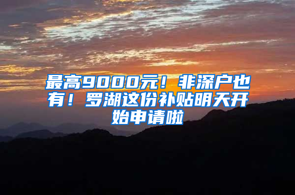 最高9000元！非深户也有！罗湖这份补贴明天开始申请啦