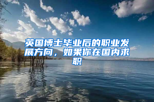 英国博士毕业后的职业发展方向，如果你在国内求职