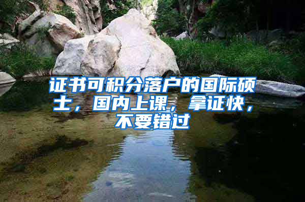 证书可积分落户的国际硕士，国内上课，拿证快，不要错过