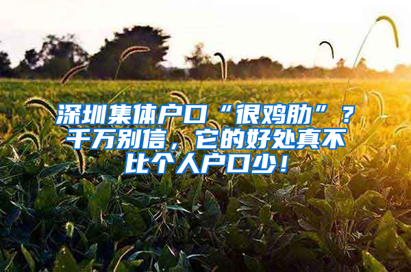 深圳集体户口“很鸡肋”？千万别信，它的好处真不比个人户口少！
