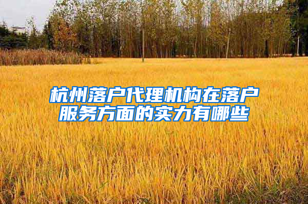 杭州落户代理机构在落户服务方面的实力有哪些