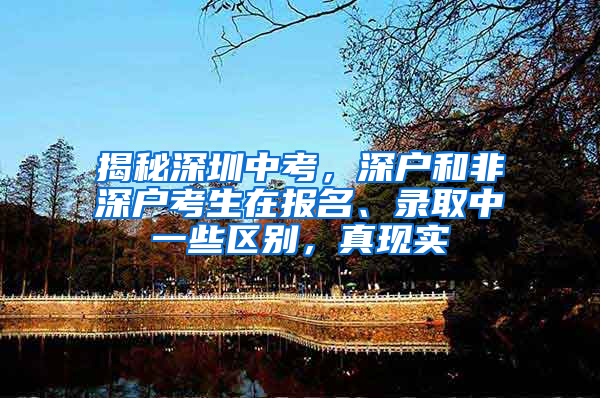揭秘深圳中考，深户和非深户考生在报名、录取中一些区别，真现实