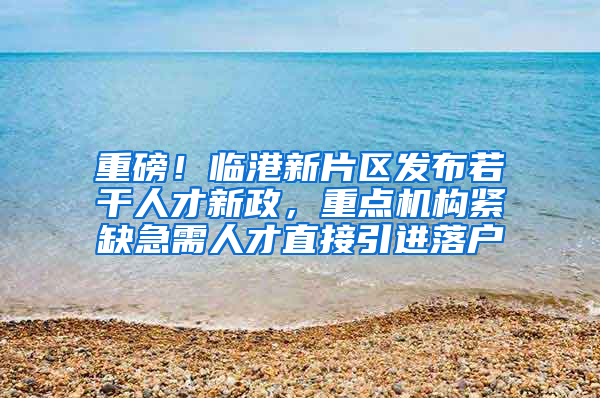 重磅！临港新片区发布若干人才新政，重点机构紧缺急需人才直接引进落户