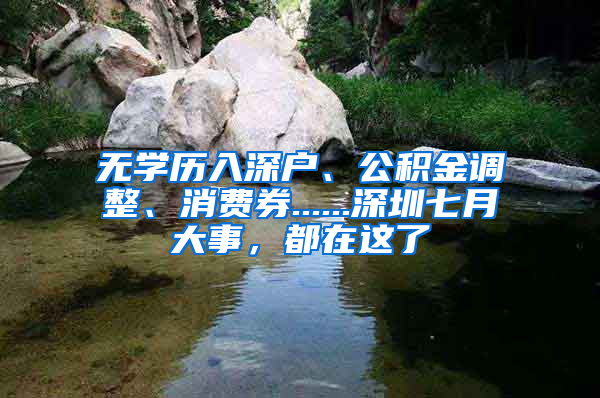 无学历入深户、公积金调整、消费券......深圳七月大事，都在这了