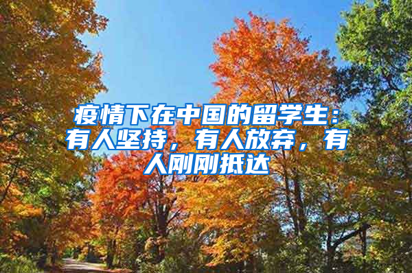 疫情下在中国的留学生：有人坚持，有人放弃，有人刚刚抵达