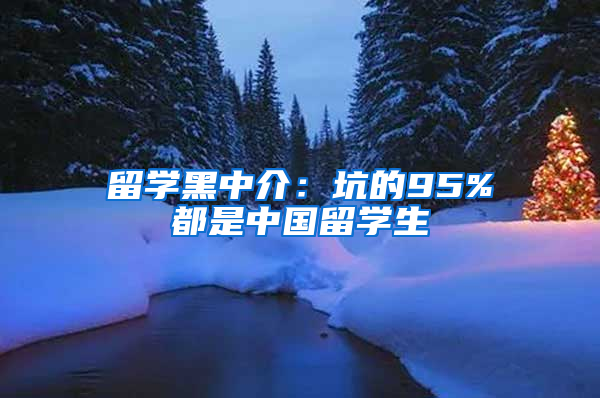 留学黑中介：坑的95%都是中国留学生