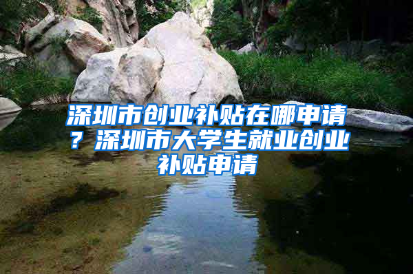 深圳市创业补贴在哪申请？深圳市大学生就业创业补贴申请