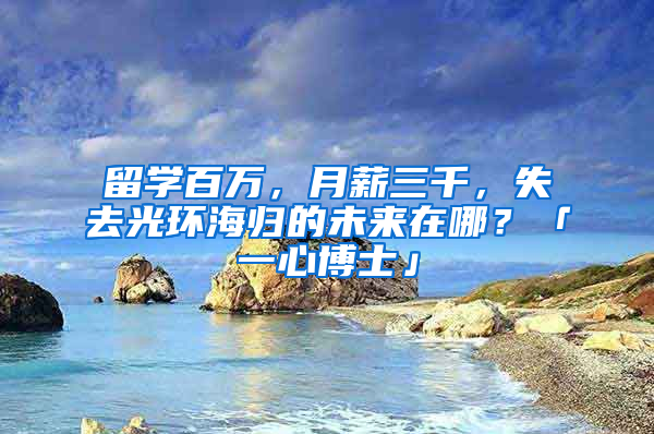 留学百万，月薪三千，失去光环海归的未来在哪？「一心博士」