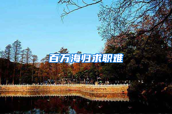 百万海归求职难