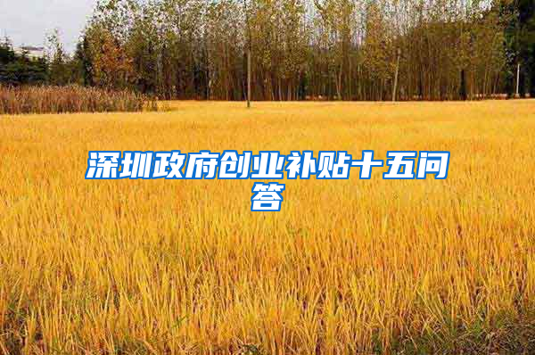 深圳政府创业补贴十五问答